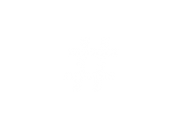 Social Media Hashtag