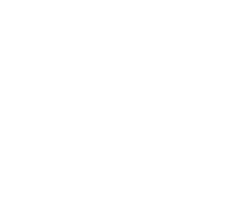 Social Media Hashtag