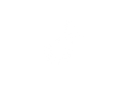 TikTok Logo
