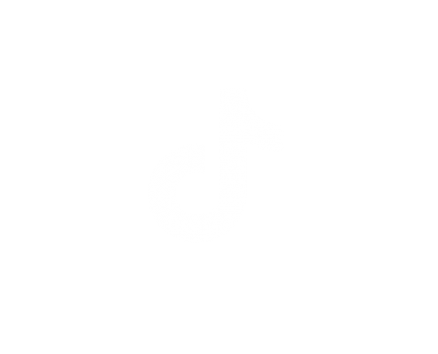 TikTok Logo