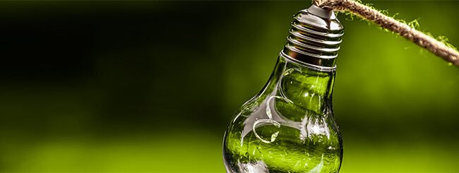 Nachhaltige Kommunikation und Kundenbeziehung, Glühbirne vor grünem Hintergrund